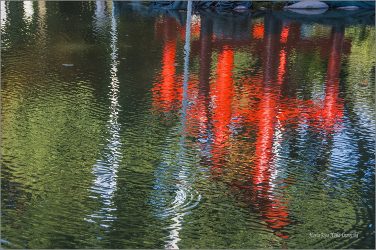 Maria Rosa Delia Demetilla - 10 Ondas reflexivas 1 MRD EliaDemetilla 